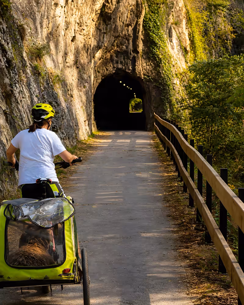 Two-seat child trailer hitched to a rental bike on the Senda del Oso