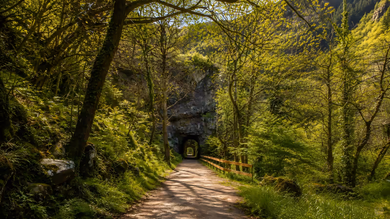 Walkers making their way through the gorge on the Ruta del Oso, where the clock is set by the stops