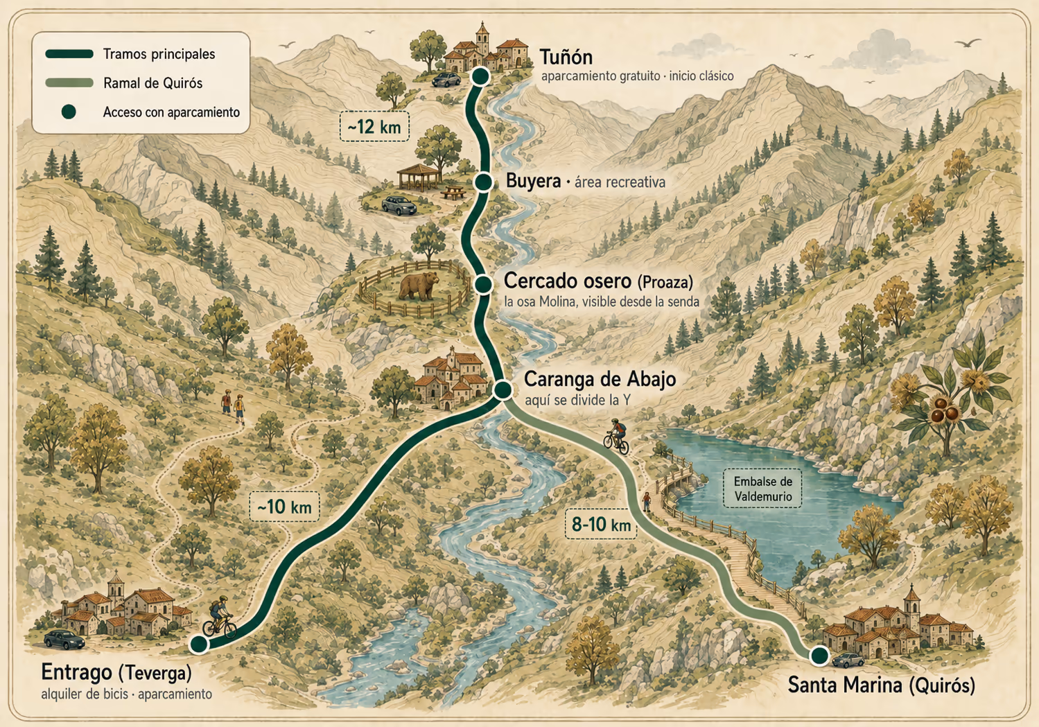 Mapa ilustrado de la Ruta del Oso: trazado en Y con los tres tramos, los accesos con aparcamiento gratuito y el cercado osero