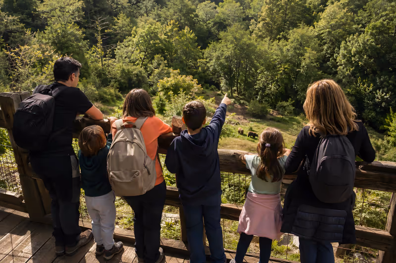 Families watching the bear enclosure from the viewpoint on the trail