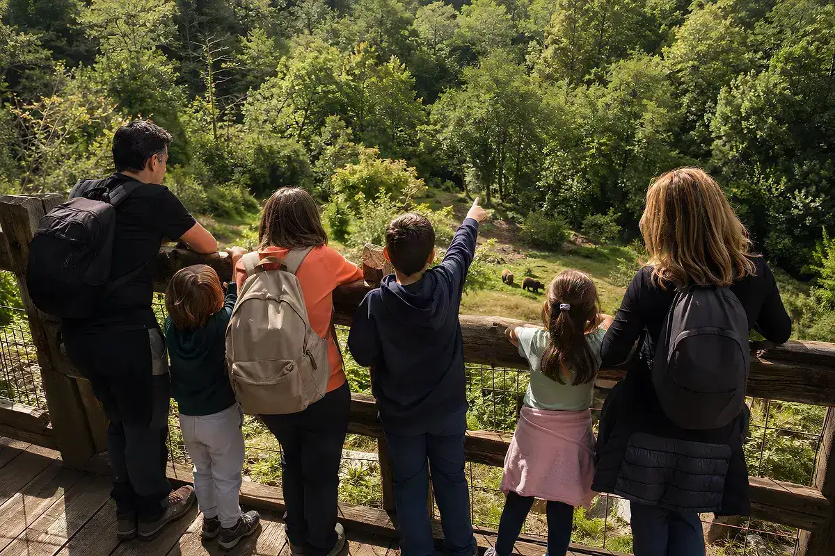 Familias observando el cercado osero desde el mirador de la senda