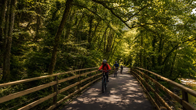 The Ruta del Oso trail running between meadows through the Teverga valley